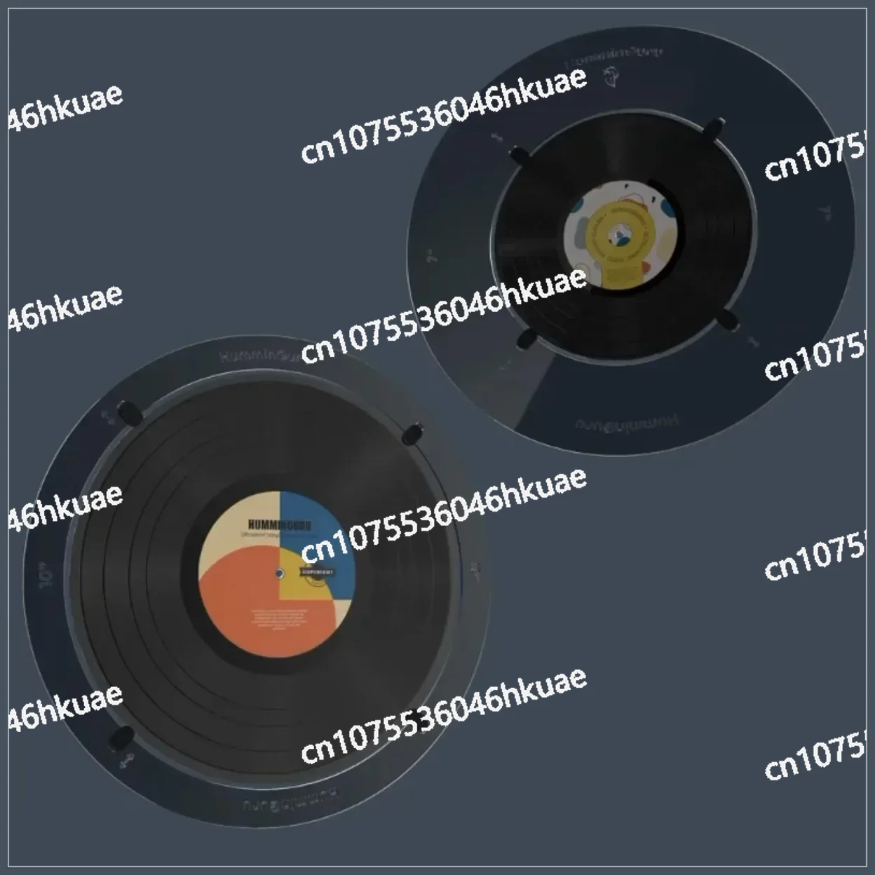 Pulitore per dischi in vinile  - Vinyl Record Cleaner recensione e prezzo